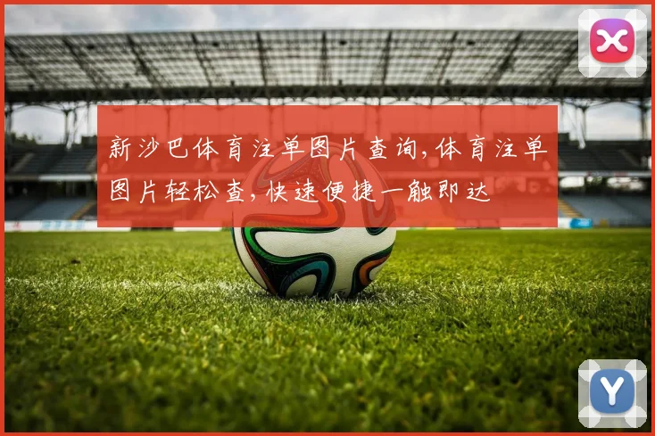 新沙巴体育注单图片查询,体育注单图片轻松查,快速便捷一触即达