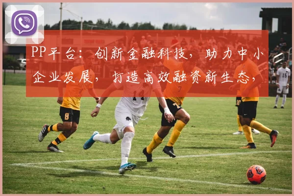 PP平台：创新金融科技，助力中小企业发展，打造高效融资新生态，实现共赢未来